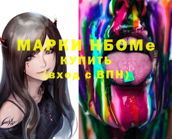 сатива Покачи