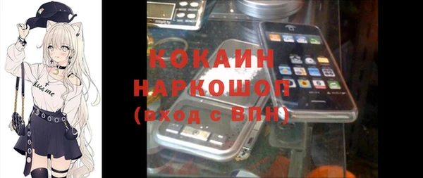 сатива Покачи