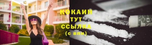 сатива Покачи