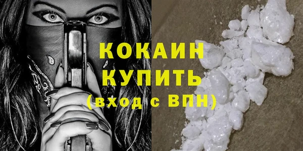 сатива Покачи