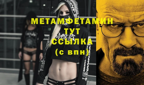 сатива Покачи
