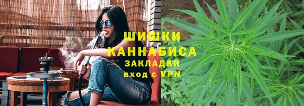 сатива Покачи