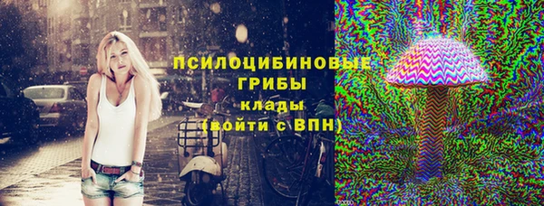 гидра Покровск