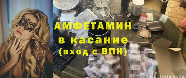 сатива Покачи