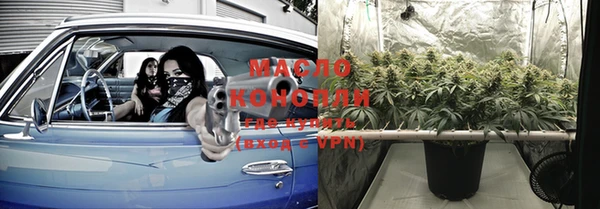 сатива Покачи